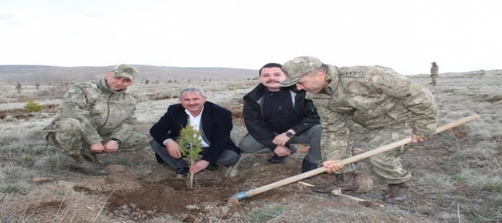 YUNAK DAĞLARINDA OPERASYON: KOMUTANLAR SAHADA, EMİR NET – BİR FİDAN, BİR VATAN, KOD ADI “YEŞİL GELECEK”