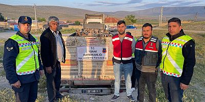 HAYVAN HIRSIZLIĞI ŞÜPHELİSİ TUTUKLANDI
