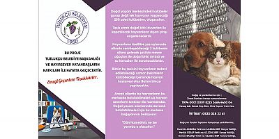 TUZLUKÇU’DA SAHİPSİZ HAYVANLAR İÇİN BAKIM REHABİLATİSYON MERKEZİ AÇILACAK